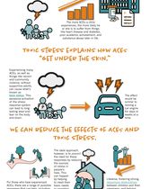 Infographic