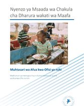 Muhtasari wa Afua kwa Ofisi ya nchi