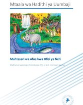 Muhtasari wa Afua kwa Ofisi ya Nchi