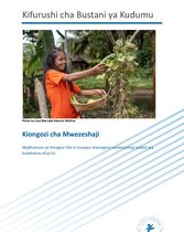 Kiongozi cha Mwezeshaji